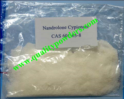 Nandrolone cypionate cycle